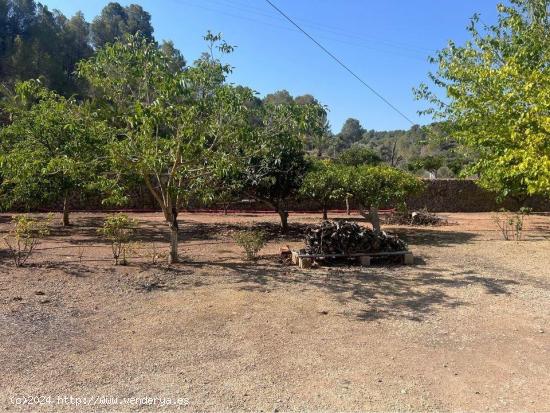 ¡Descubre esta encantadora casa de campo en La Nucía! - ALICANTE