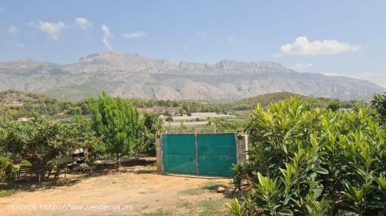 Casa de Campo en Altea con Amplio Terreno - ALICANTE