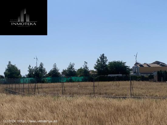 REF: C003 GRUPO INMOTEKA INMOBILIARIA VENDE TERRENO RUSTICO EN CASAS VIEJAS/ARCA DE NOE - ALBACETE