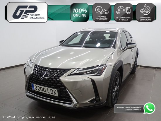 Lexus UX 2.0 250h Business Navigation - Manises