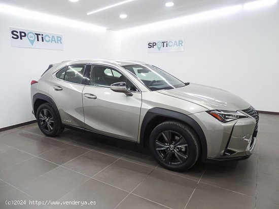 Lexus UX 2.0 250h Business Navigation - Manises