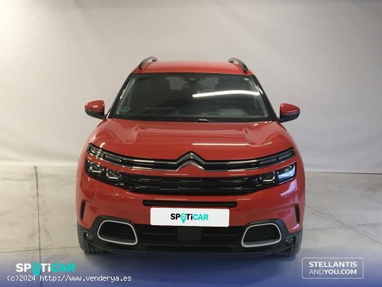 Citroën C5 Aircross  BlueHdi 96kW (130CV) S&S Shine - Ourense