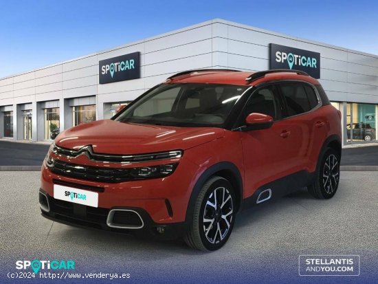  Citroën C5 Aircross  BlueHdi 96kW (130CV) S&S Shine - Ourense 