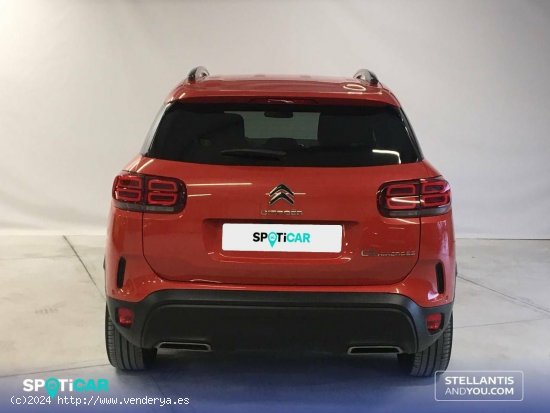 Citroën C5 Aircross  BlueHdi 96kW (130CV) S&S Shine - Ourense