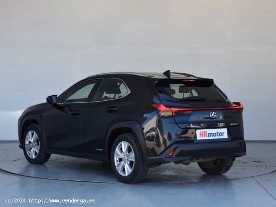 Lexus UX 250h - Fontellas