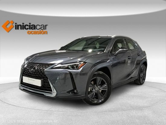  Lexus UX 2.0 250h Business - Málaga 