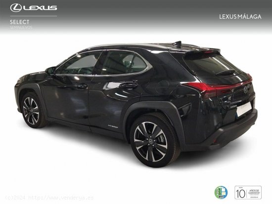 Lexus UX 2.0 250h Premium - Málaga