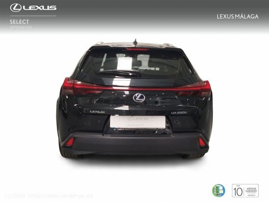 Lexus UX 2.0 250h Premium - Málaga