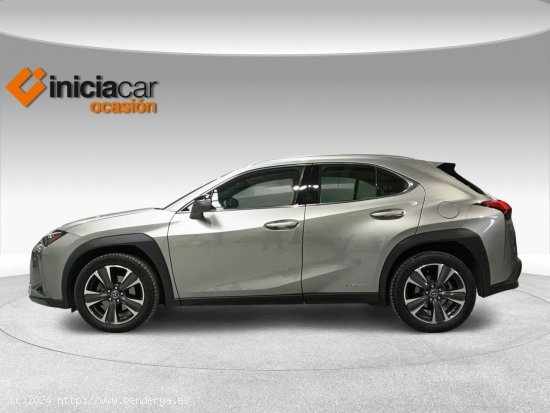 Lexus UX 2.0 250h Luxury - Málaga