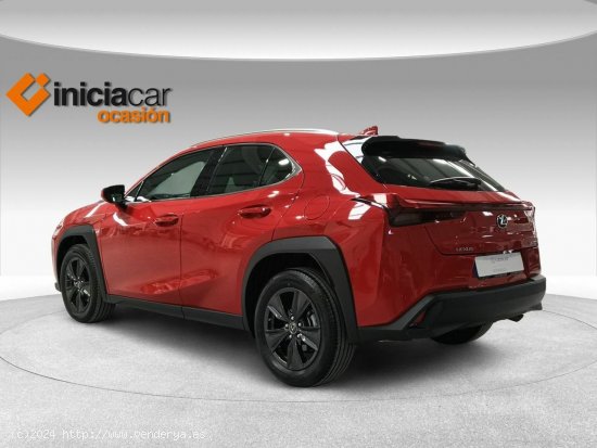 Lexus UX 2.0 250h Business - Málaga