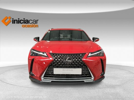 Lexus UX 2.0 250h Business - Málaga