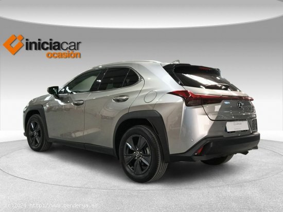 Lexus UX 2.0 250h Business - Málaga