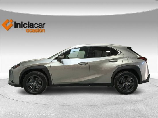 Lexus UX 2.0 250h Business - Málaga