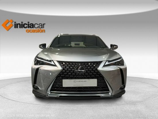 Lexus UX 2.0 250h Business - Málaga