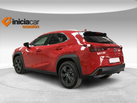 Lexus UX 2.0 250h Premium - Málaga