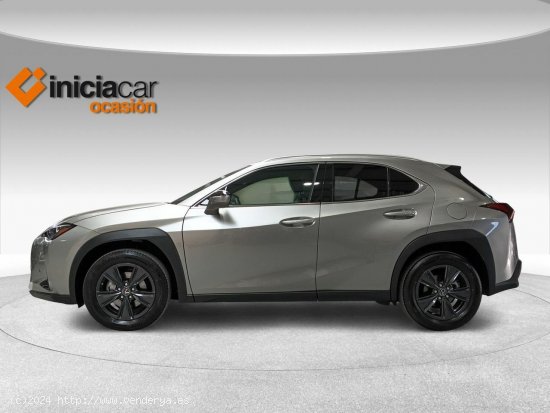 Lexus UX 2.0 250h Premium - Málaga