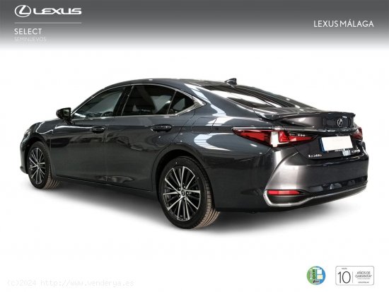 Lexus ES 2.5 300h Premium - Málaga