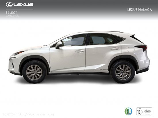 Lexus NX 2.5 300h Business Navigation 2WD - Málaga