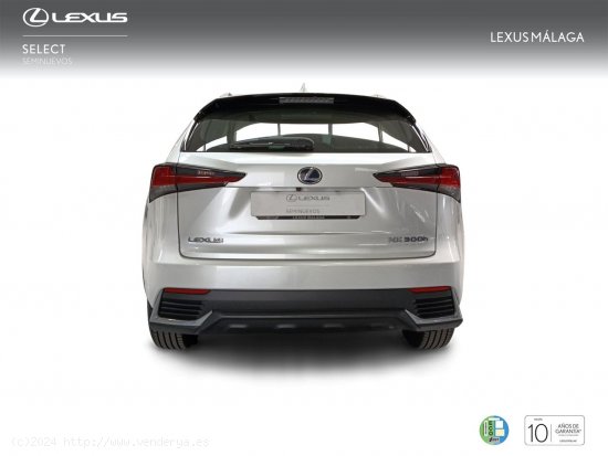 Lexus NX 2.5 300h Business Navigation 2WD - Málaga