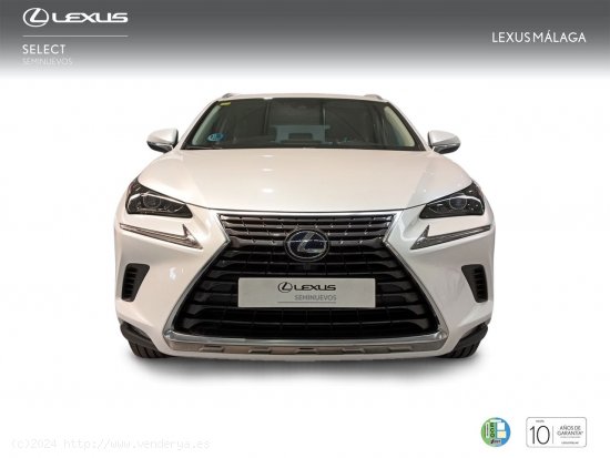 Lexus NX 2.5 300h Business Navigation 2WD - Málaga