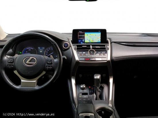 Lexus NX 2.5 300h Business Navigation 2WD - Málaga