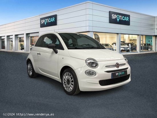 Fiat 500 Cult 1.0 Hybrid 52KW (70 CV) - Málaga