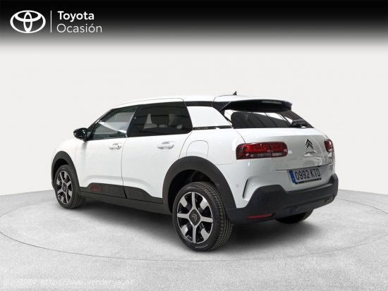 Citroën C4 Cactus PureTech 81KW (110CV) S&S Shine - Málaga