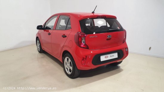 Kia Picanto 1.0 DPi 49kW (67CV) Concept - Zaratán