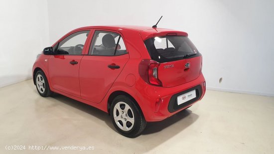 Kia Picanto 1.0 DPi 49kW (67CV) Concept - Zaratán