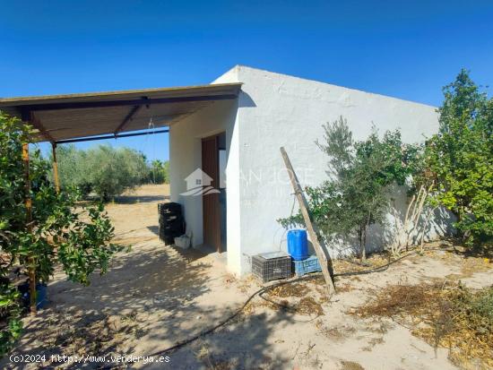  SE VENDE BONITO ALBERGUE EN LAZONA DEL CAMPET EN NOVELDA - ALICANTE 