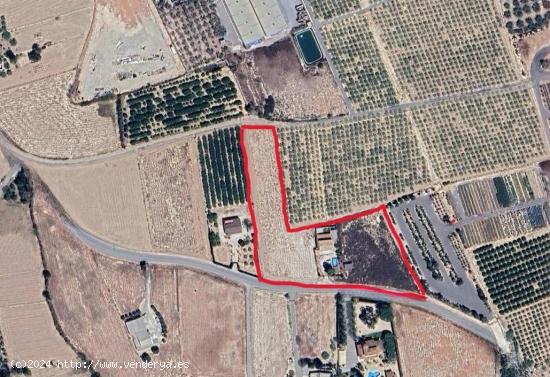 ¡ Oportunidad ! Encantadora Parcela con Casa de Campo en Venta - ALICANTE