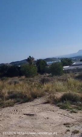 SE VENDE TERRENO 250000 METROS CUADRADOS  ZONA EL SABINAR  PEGADO A SAN VICENTE - ALICANTE