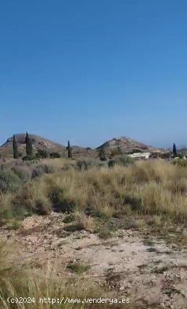 SE VENDE TERRENO 250000 METROS CUADRADOS  ZONA EL SABINAR  PEGADO A SAN VICENTE - ALICANTE