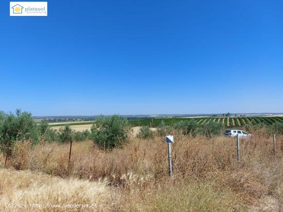 venta de finca rustica - SEVILLA