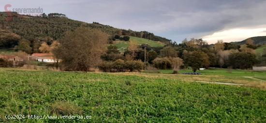 TERRENO EN RIBAMONTAN AL MONTE - CANTABRIA