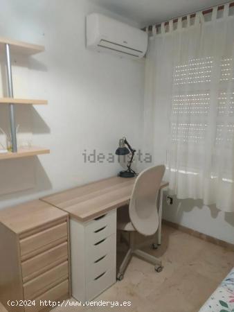 Piso para Estudiantes - ALMERIA