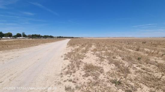  TERRENO EN VENTA EN BALSA DE FORNILLÉ (VILLANUEVA DE GÁLLEGO) - ZARAGOZA 