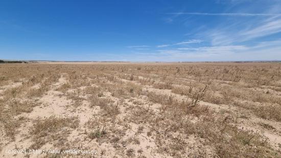 TERRENO EN VENTA EN BALSA DE FORNILLÉ (VILLANUEVA DE GÁLLEGO) - ZARAGOZA