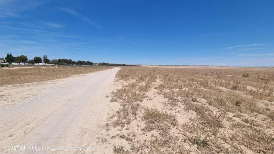 TERRENO EN VENTA EN BALSA DE FORNILLÉ (VILLANUEVA DE GÁLLEGO) - ZARAGOZA