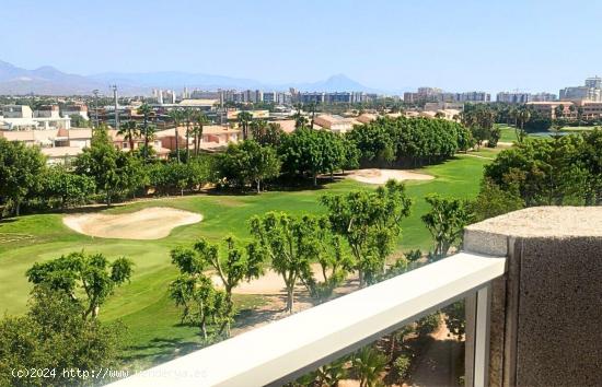 Ático dúplex en Golf de la Playa San Juan. - ALICANTE