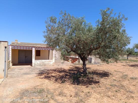  2 TERRENOS RÚSTICOS EN LLIRIA DETRÁS HOSPITAL LLIRIA - VALENCIA 