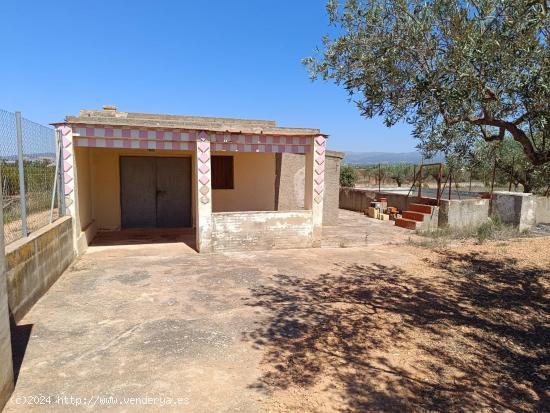 2 TERRENOS RÚSTICOS EN LLIRIA DETRÁS HOSPITAL LLIRIA - VALENCIA