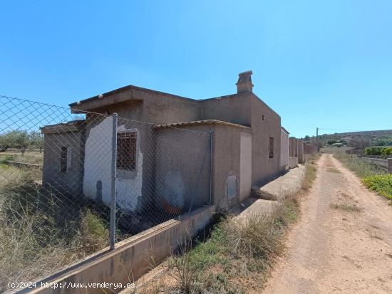 2 TERRENOS RÚSTICOS EN LLIRIA DETRÁS HOSPITAL LLIRIA - VALENCIA