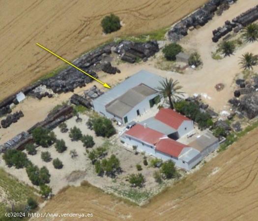 FINCA RÚSTICA EN ARCOS DE LA FRONTERA - CADIZ