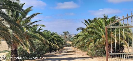 FINCA RÚSTICA EN ARCOS DE LA FRONTERA - CADIZ