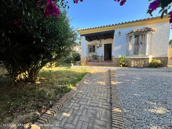  Chalet con piscina en Carboneros - CADIZ 