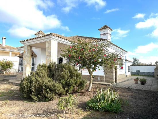 Chalet con 2.000 m2 de parcela en la Soledad - CADIZ