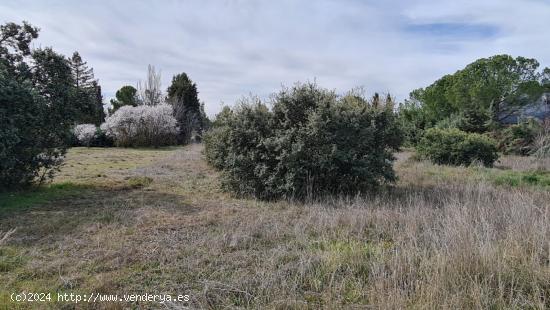 Parcela céntrica de 1951 m2 en excelente zona - MADRID