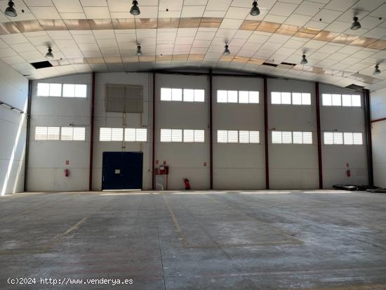 Nave Industrial en Elche Parque Empresarial. - ALICANTE