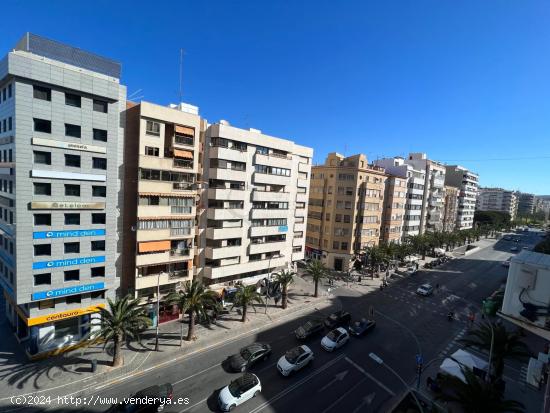 PISO EN ENSANCHE DIPUTACIÓN EN EL CENTRO DE ALICANTE - ALICANTE